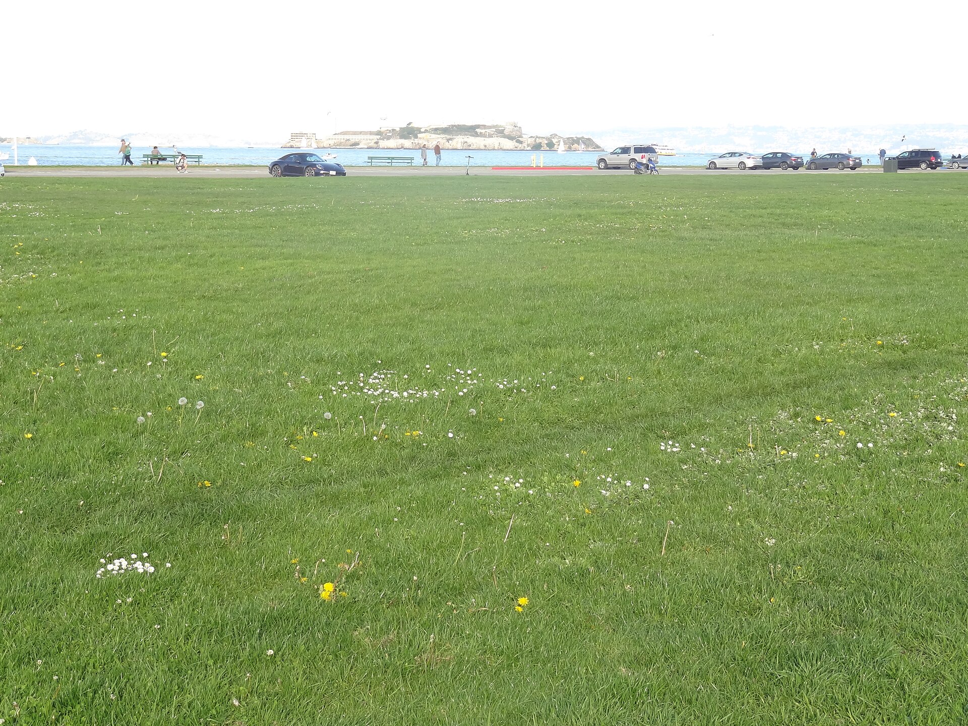 Marina Green, once the fair's North Gardens