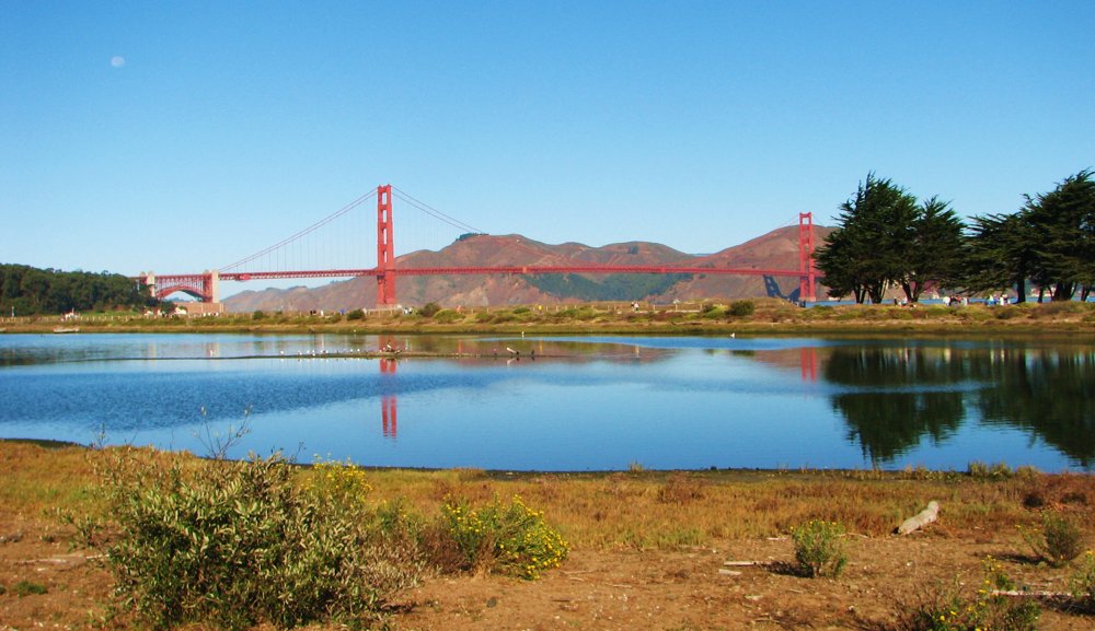 The tidal marsh at Crissy Field, today