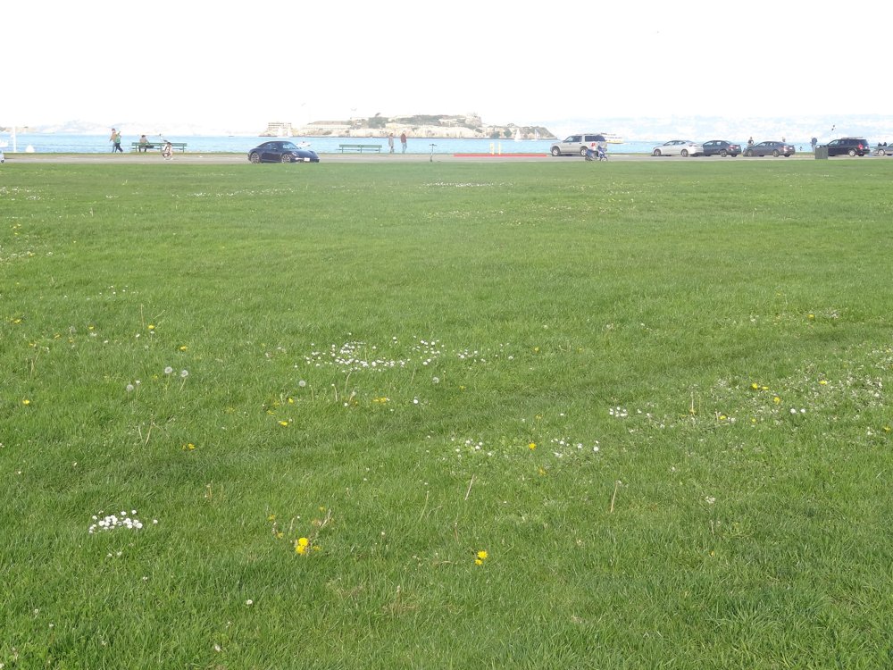 Marina Green, the North Gardens, today
