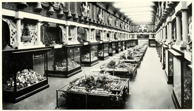 Riches of Canada: the Canadian exhibits