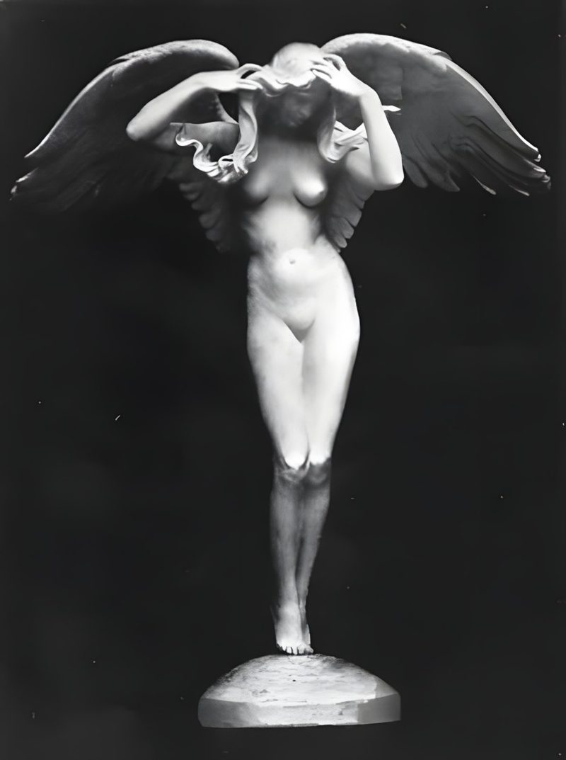 Weinman's Descending Night